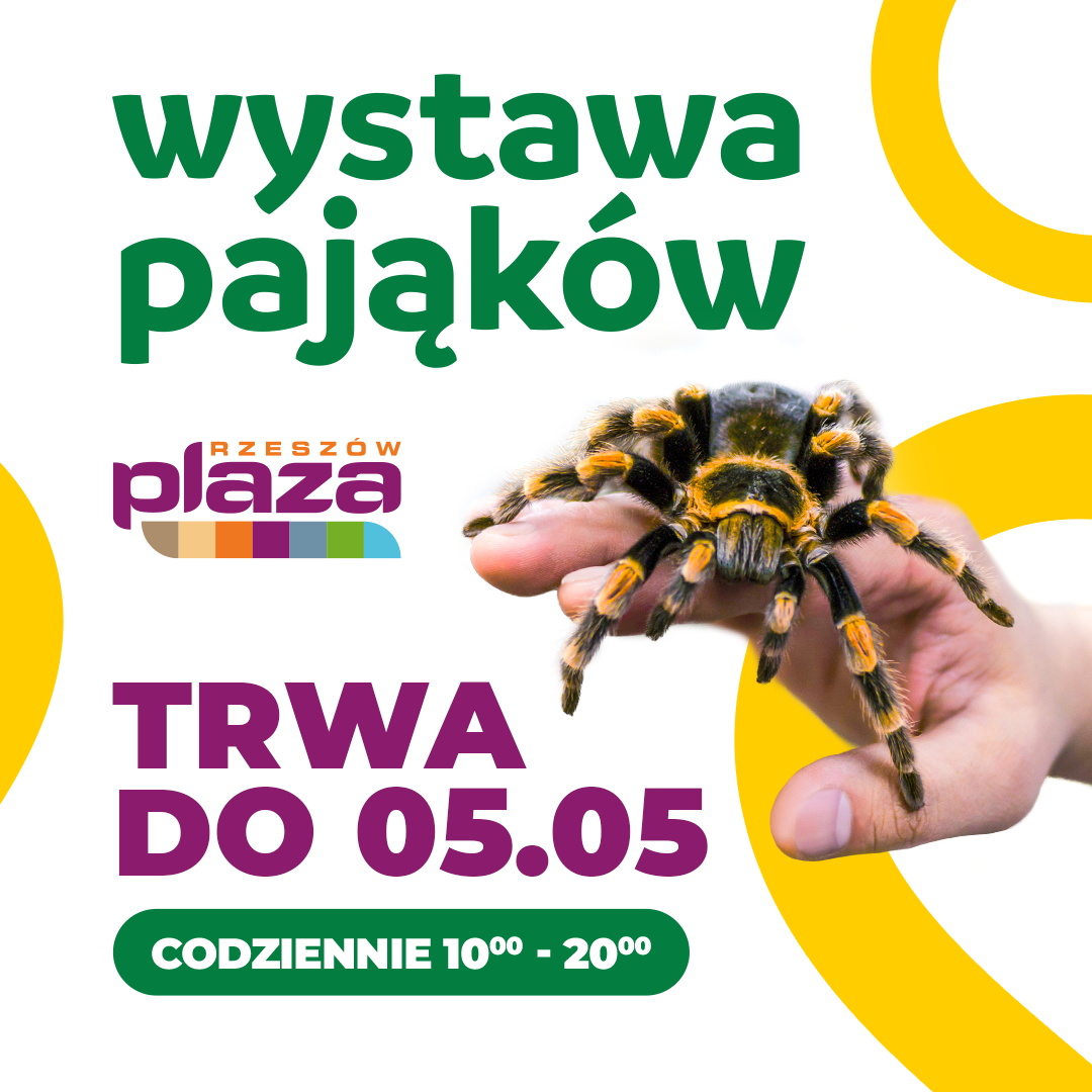 plaza Rzeszów